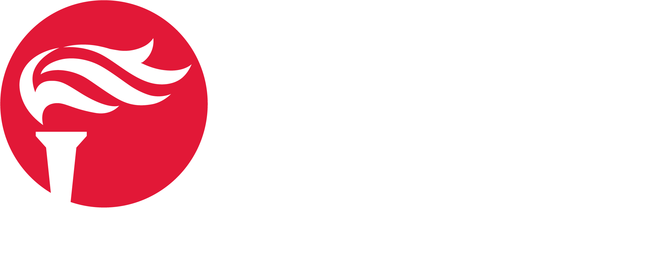 Brighter Mechanical logo