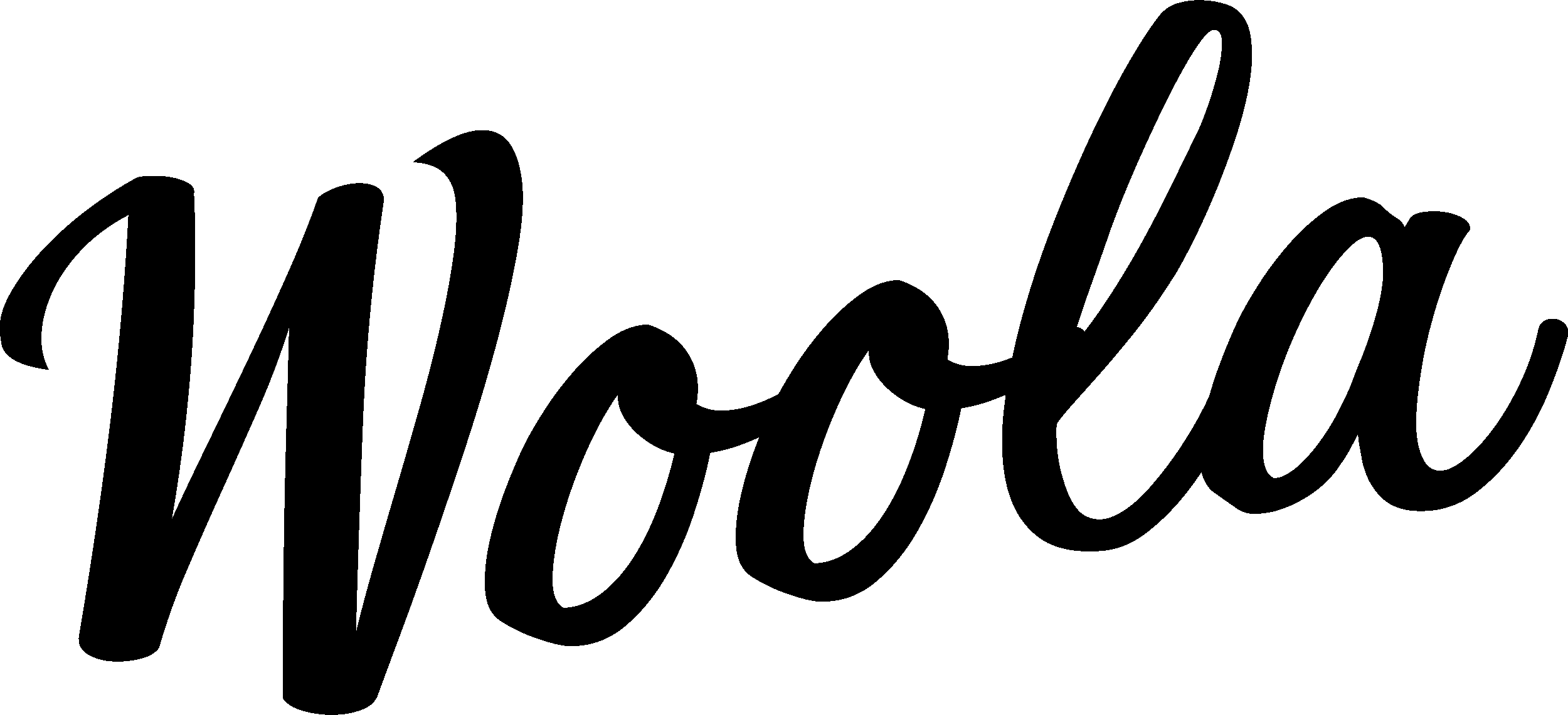 Woola Capital Ltd. logo